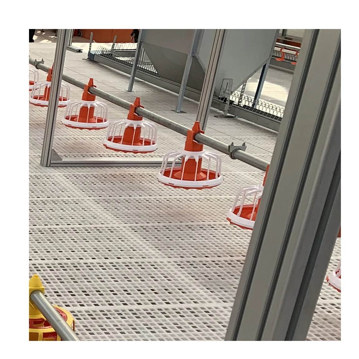 Hot Sell broiler chicken poultry feeding line and drinking line, feeder pan automatic equipment for sale