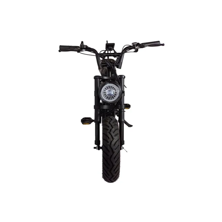 48v 500w/750w/1000w super bike hub motor 16*4.0 inch fat tire two seat electric bike Moto Electrica 73 ebike