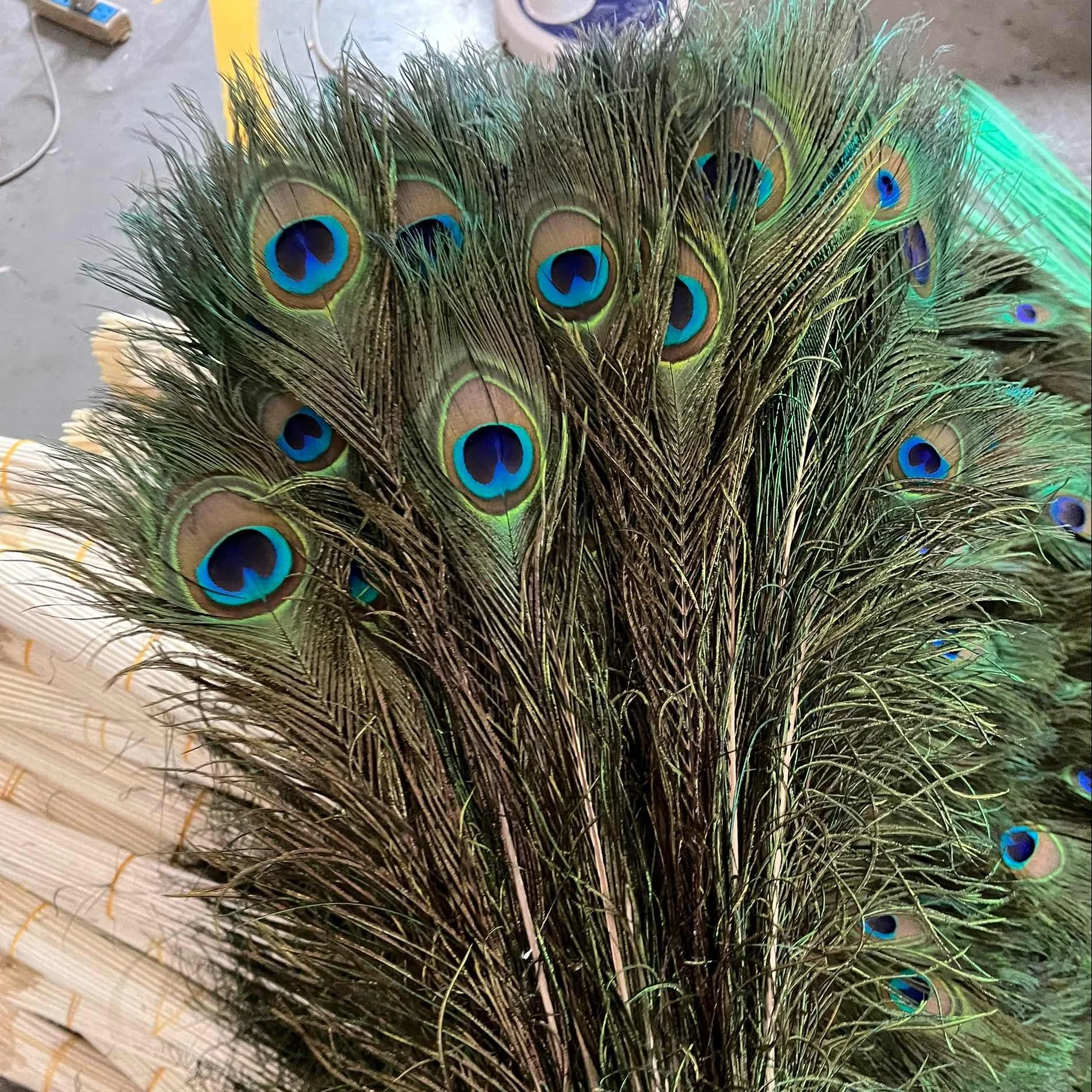 Floral Vase Dyed Red pink Large India 30-35inch Natural bird DIY bulk Home Decor eye wing tail Peacock feather For decoration