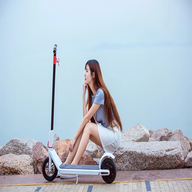 Eu Warehouse 36V 8.5 Inch Similar Xaomi Mi Mijia M365 Pro 2 1s Fast Folding E Electric Scooters For Adults