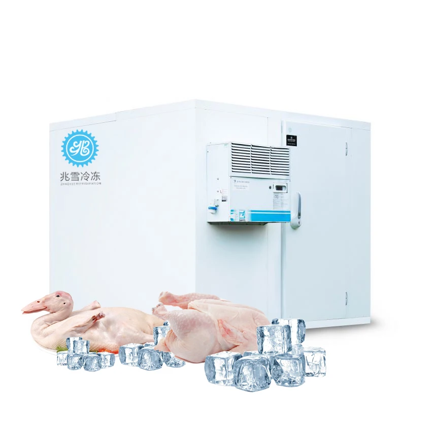 Coldroom Refrigeration Parts Aquarium Chiller Refrigeration &Amp; Heat Exchange Parts Cold Room