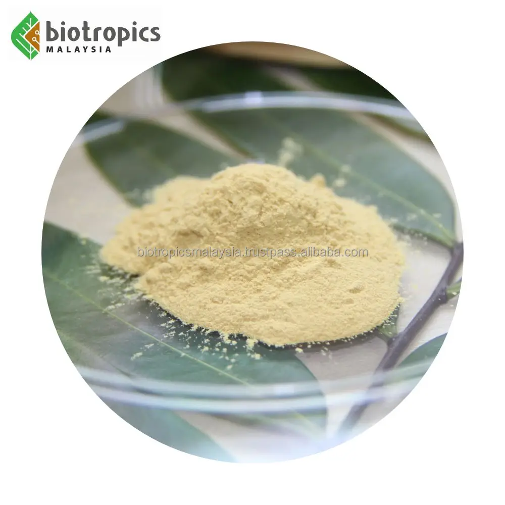 Wholesale Tongkat Ali Extract Powder for Men Health Longjack Extract Ingredient Powder Eurycoma Longifolia Herbal Powder