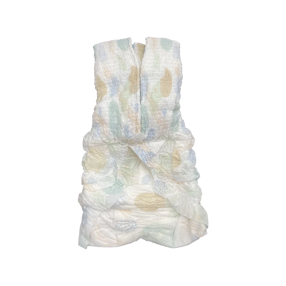 Overnight Period Female Underwear Breathable Adult Diaper Women Pad Menstrual Pant Sanitary Napkin