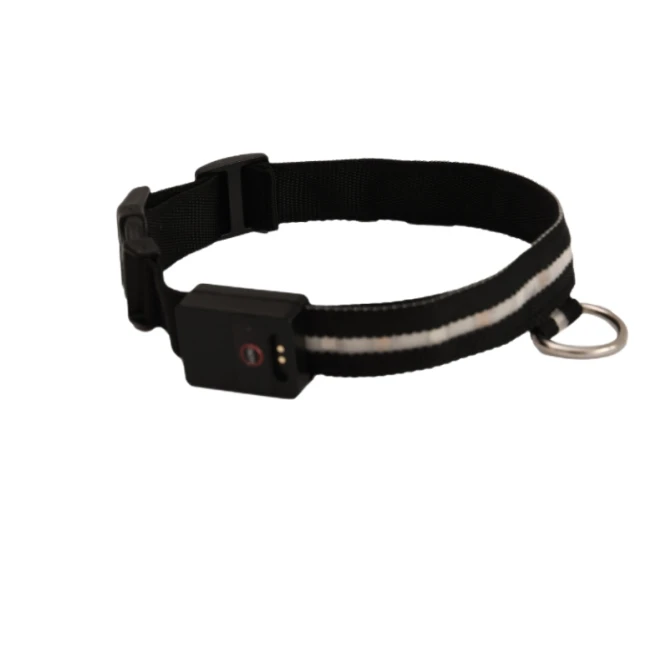 Glow In The Dark High Quality 1000D Nylon Metal Hardware Belt Buckle M L XL USB Rechargeable Led Dog Collar