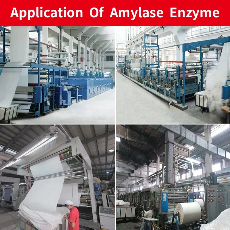 textile enzyme amylase liquid fabric enzymatic hydrolysis corn starch bio washing desizing agent process alpha amylase