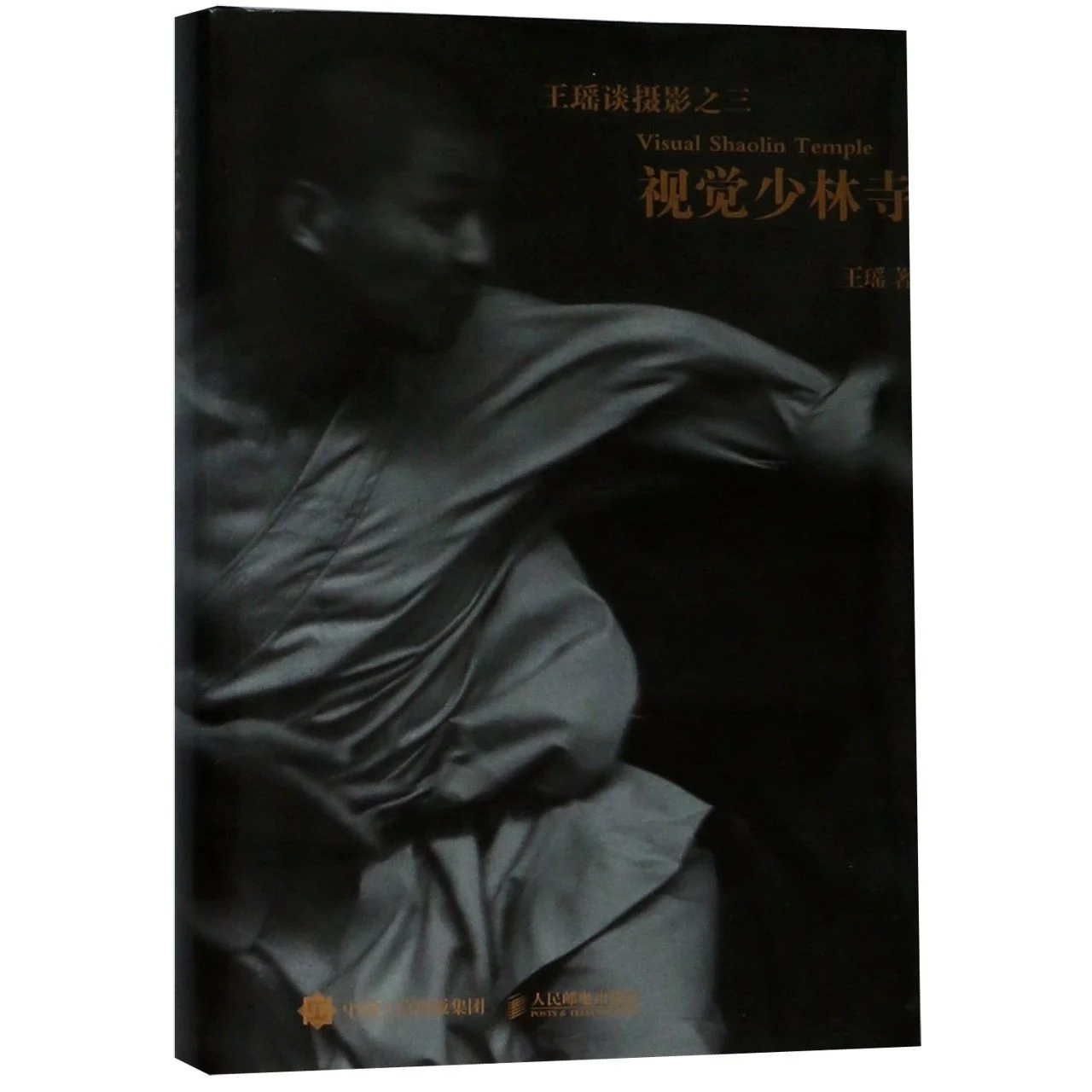 Видение Шаолинь (в твердом переплете) на китайском языке фотографии книги иллюстрированные книги художественные книги