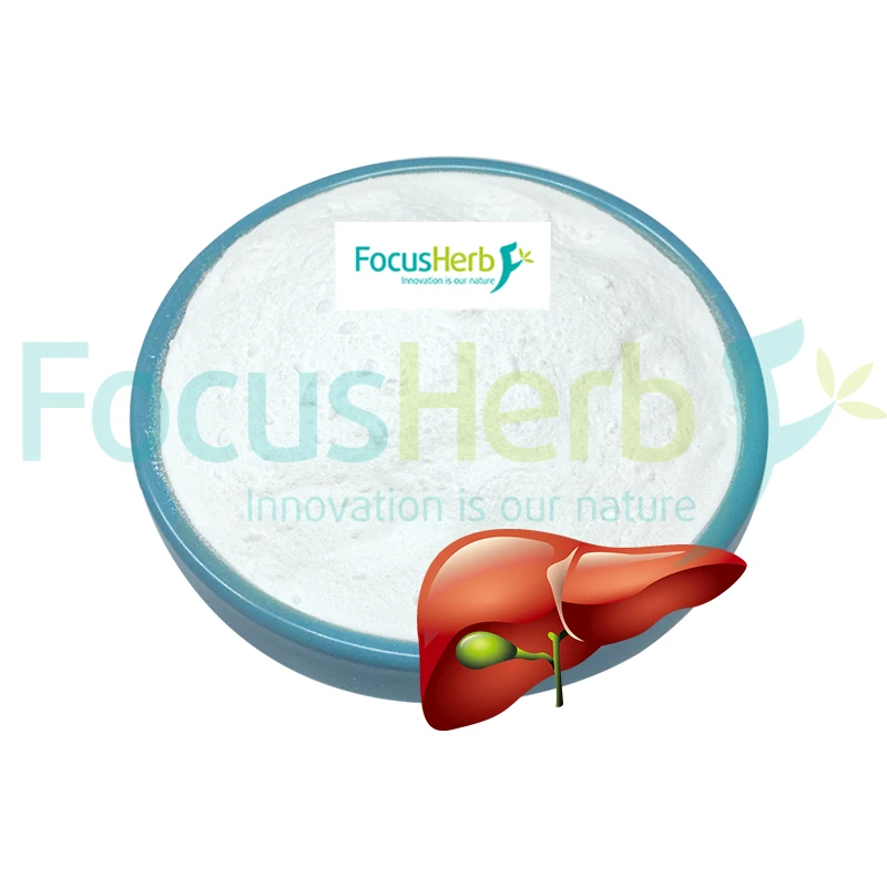 FocusHerb CAS 70-26-8 L-Ornithine Powder 99% L-Ornithine