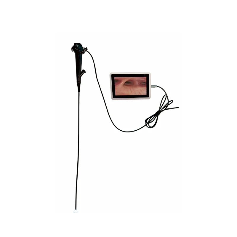 Pet Clinic Medical Video Gastroscope Endoscope Camera Veterinary Endoscope Camera System
