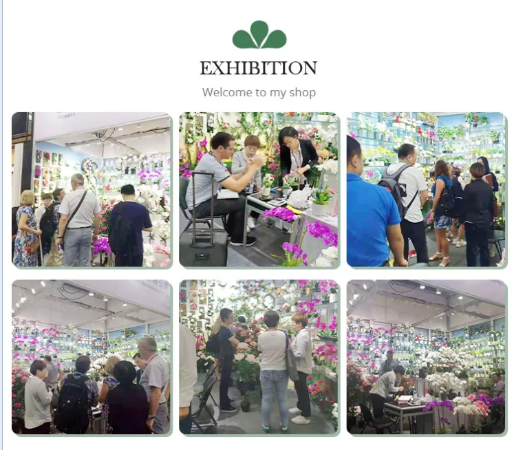 Cheap Wholesale latex nature touch Orchid Artificial Flowers With Glass Vase for wedding deco