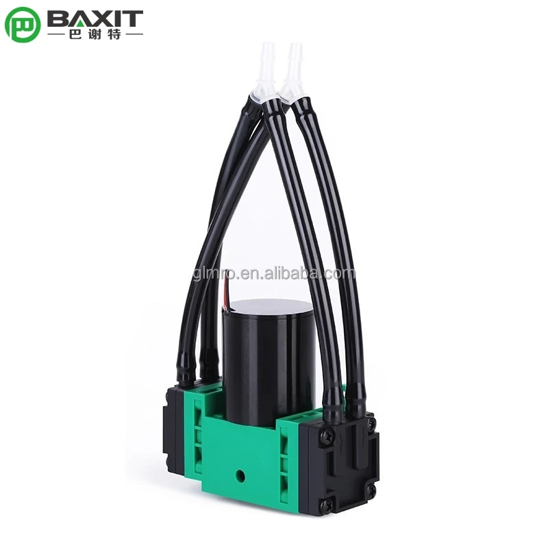 DC24V G2BK2468-2T Parallel Double Headed Diaphragm Pump Gas Vacuum Sampling pump