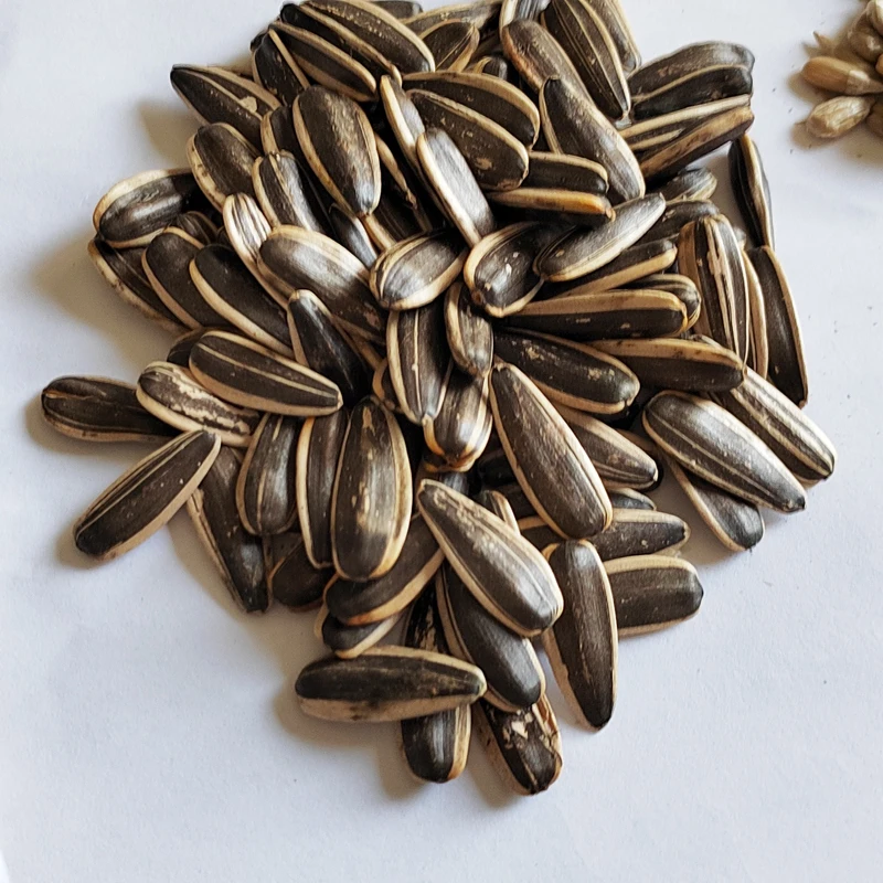 China Quality 363 Sunflower Seeds Sunflower Seed Supplier Fresh Sunflower Seeds Customizable Size