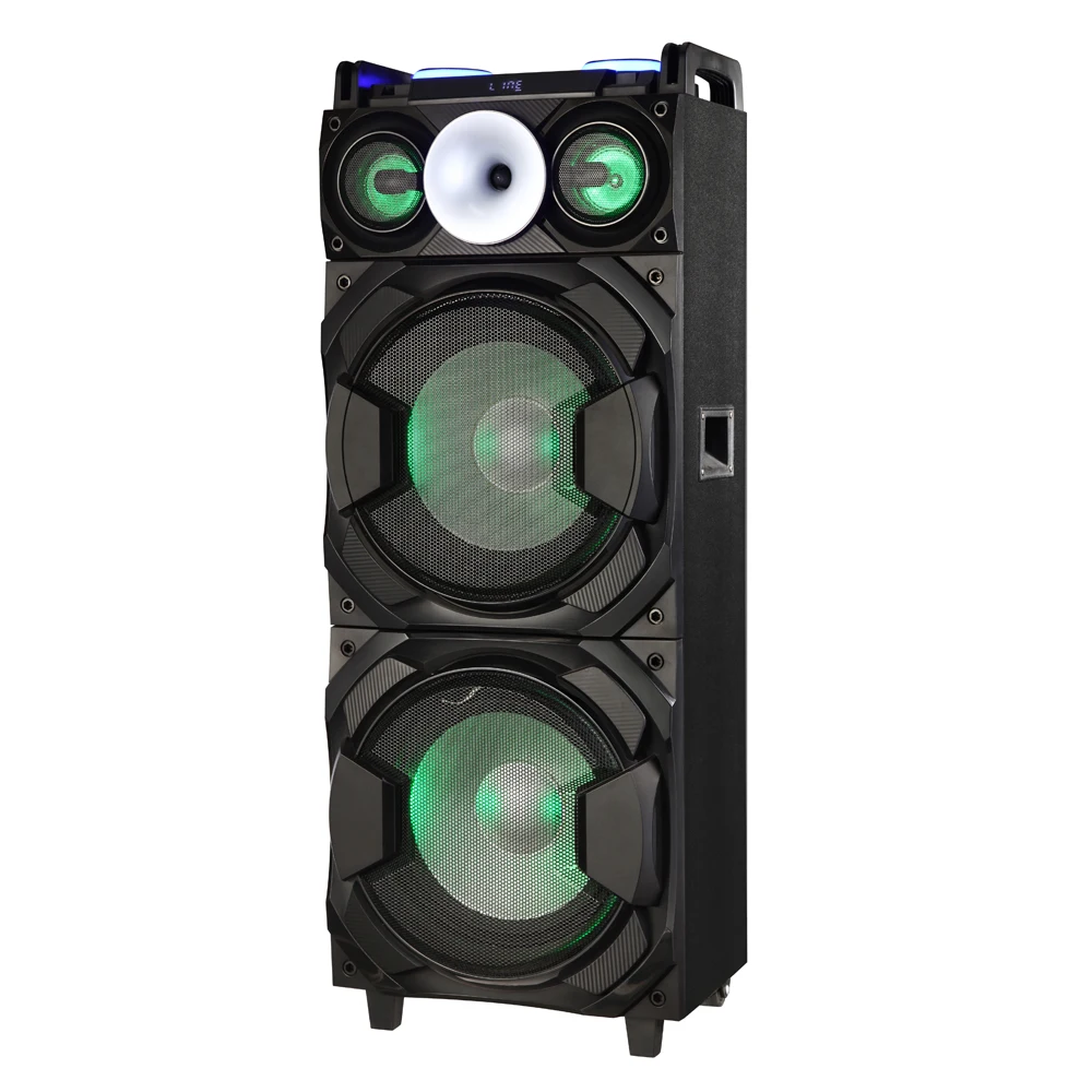 Caixa De Som Dual 12 inch subwoofer Private model sound box DJ Audio Karaoke Sound system Party Speaker