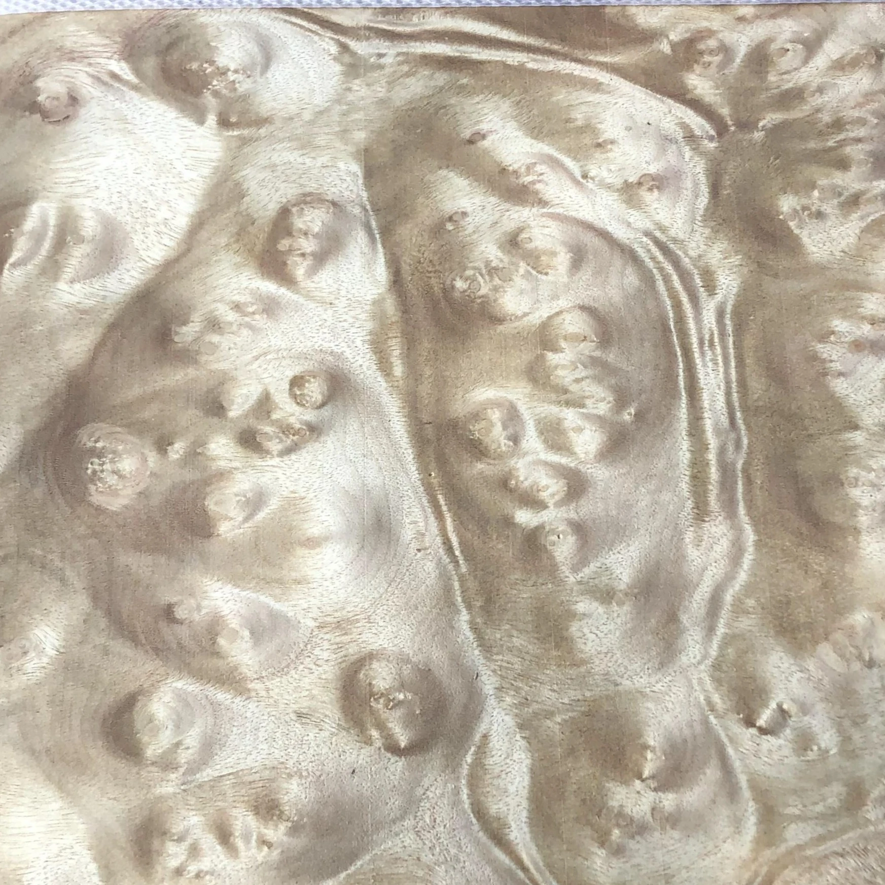 Factory Natural Golden Madrone Burl Wood Veneer Plywood Sheet Golden Madrone Burl Wood Veneers 0.45mm for Furniture