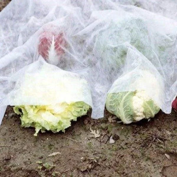 
Guangzhou 100 pp spunbond nonwoven fabric agriculture 