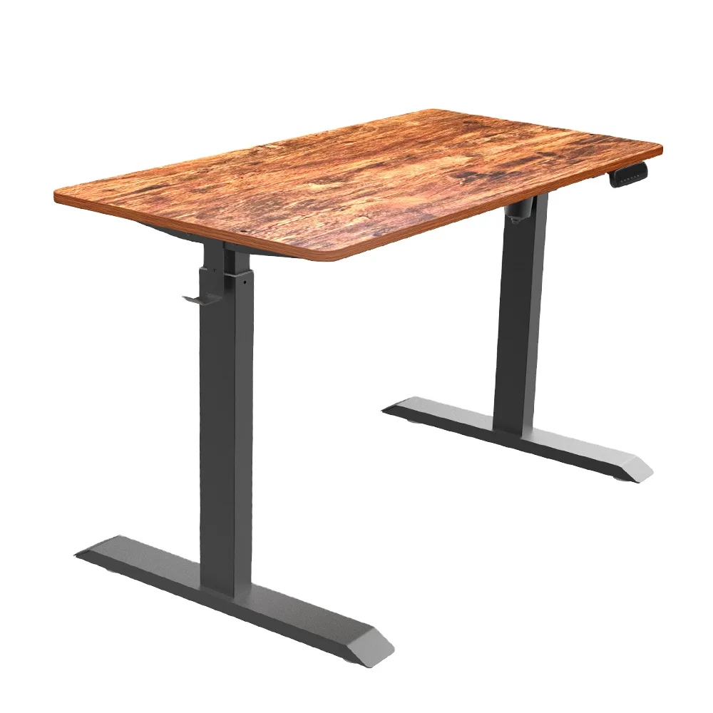 Factory Supply Ergonomic Electric Smart Lifting Metal Frame Standing Desk for Home Office