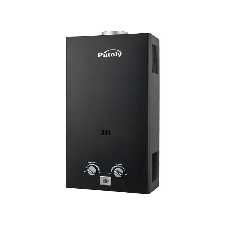 Professional manufacturer 6L 8L 10L 12L household instant gas water heater flue type lpg gas boiler tankless domestic gas geyser