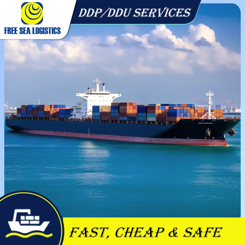 Competitive international logistics company from China to Dubai/Saudi Arabia/Oman lcl ddp sea freight