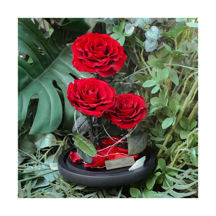 Valentines day anniversary necklace gift box preserved rose packing dry flower Artificial Flowers for wife girlfriend