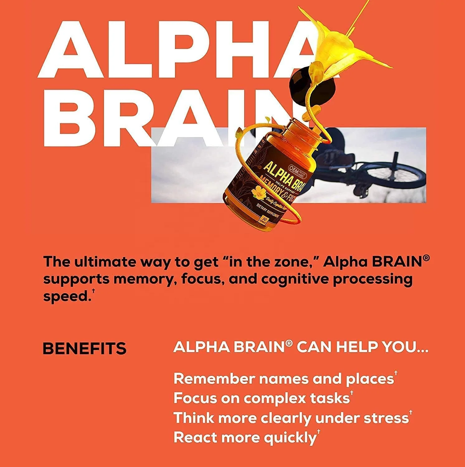 Factory hot selling OEM improves memory concentration nootropics promotes intelligence and brain power alpha brain capsule