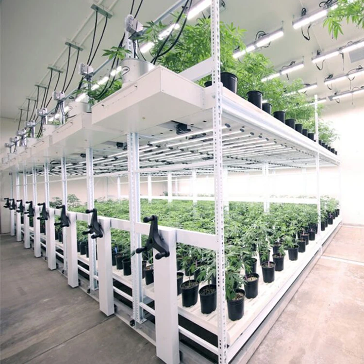 Indoor Growing Multi Floor Plant Racks Racking System Vegetable Mobile Vertical Grow Multilayer Rack
