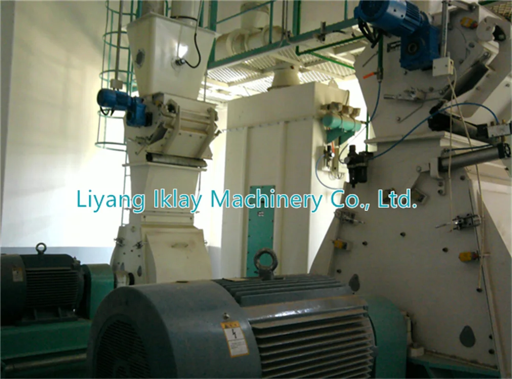 Animal Feed Hammer Mill.jpg
