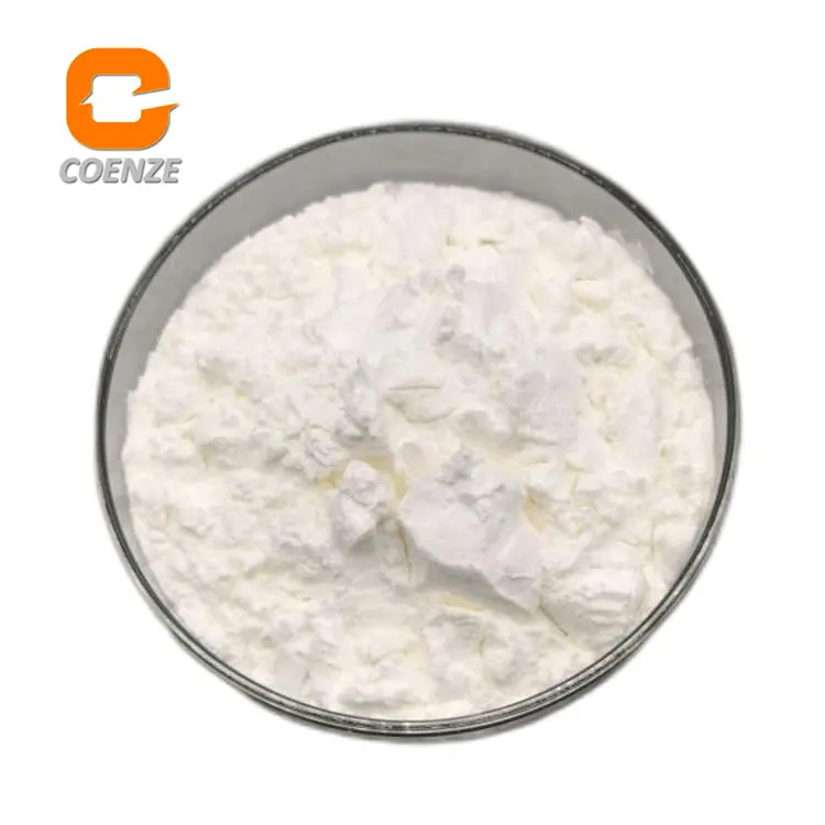 Food Grade Probiotics 10 Billion CFU/G Streptococcus Thermophilus