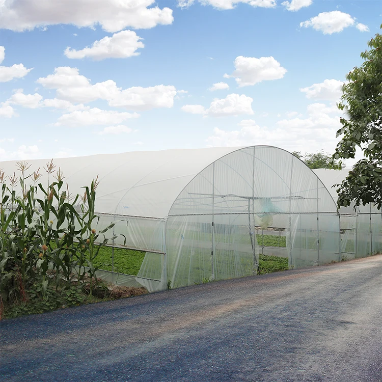 Film Low Cost Hydroponic Growing Systems Plastic Greenhouse Frames Used for Agriculture From