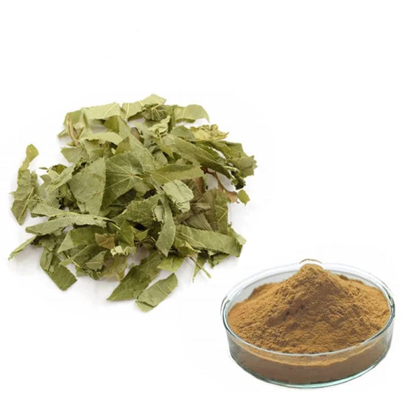 Icariin Powder 5%10%98% Horny Goat Weed Extract Epimedium Leaf Extract