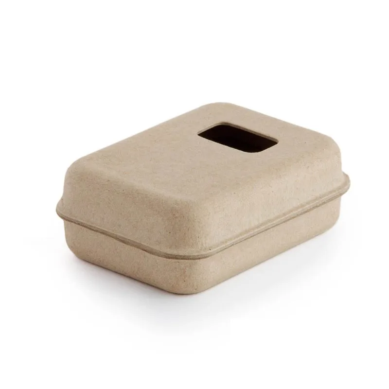 Top Quality 100% Eco-friendly Recyclable Biodegradable Protective Customized Moulded Pulp for Pulp Clamshell Packaging