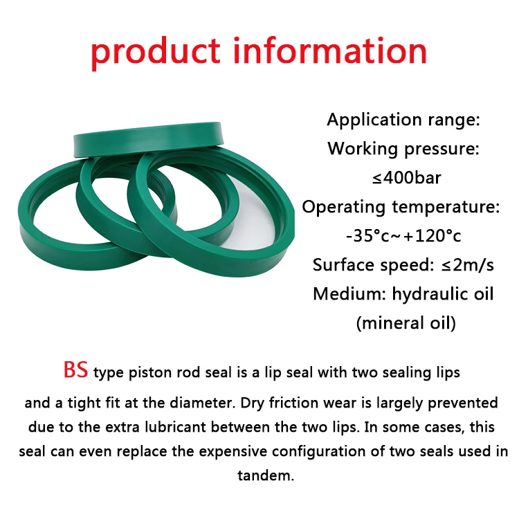 Wear resistant piston rod BS double lip oil seal