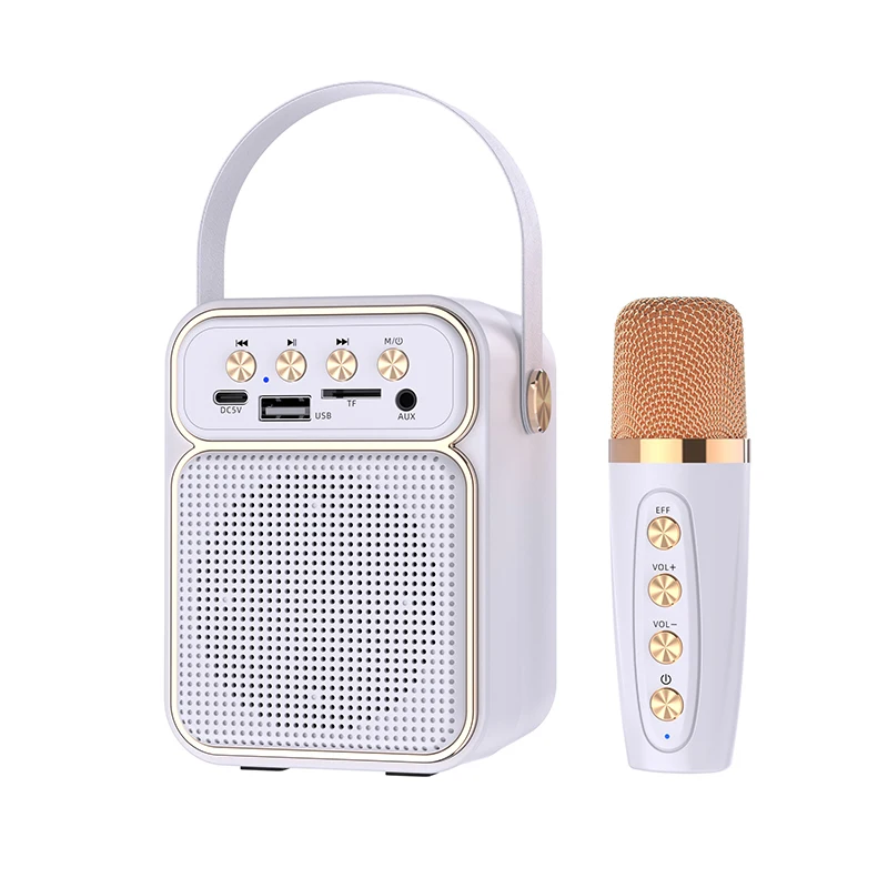 ES-4049 Karaoke Machine with Wireless Microphones Portable Bluetooth PA System Subwoofer Support TWS Radio AUX In, REC,