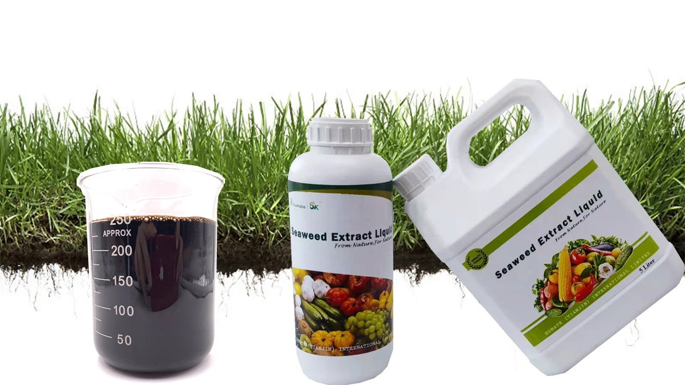 seaweed extract.1.jpg