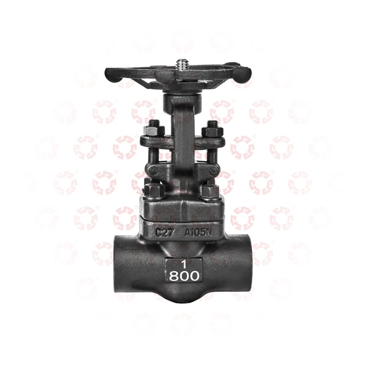 2 inch 3 inch 4 inch Carbon steel 800LB C27 A105N Soft Seal Flange Connection Cast Iron Welded Gate Valve