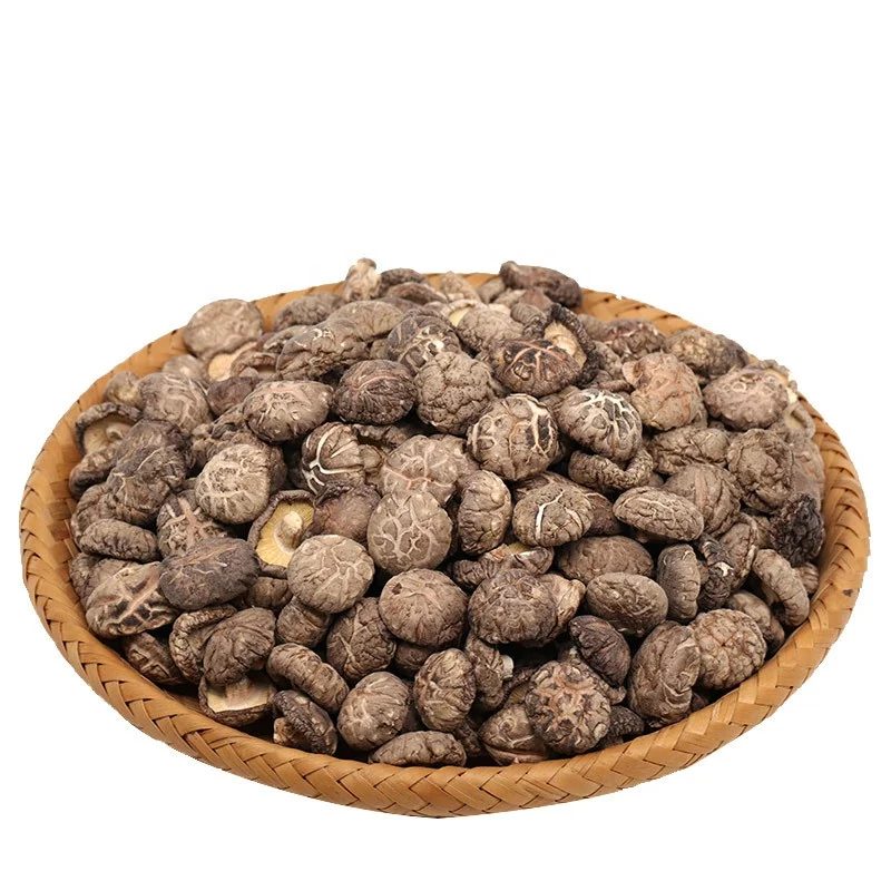 Крупные партии съедобные магические грибы сушеные