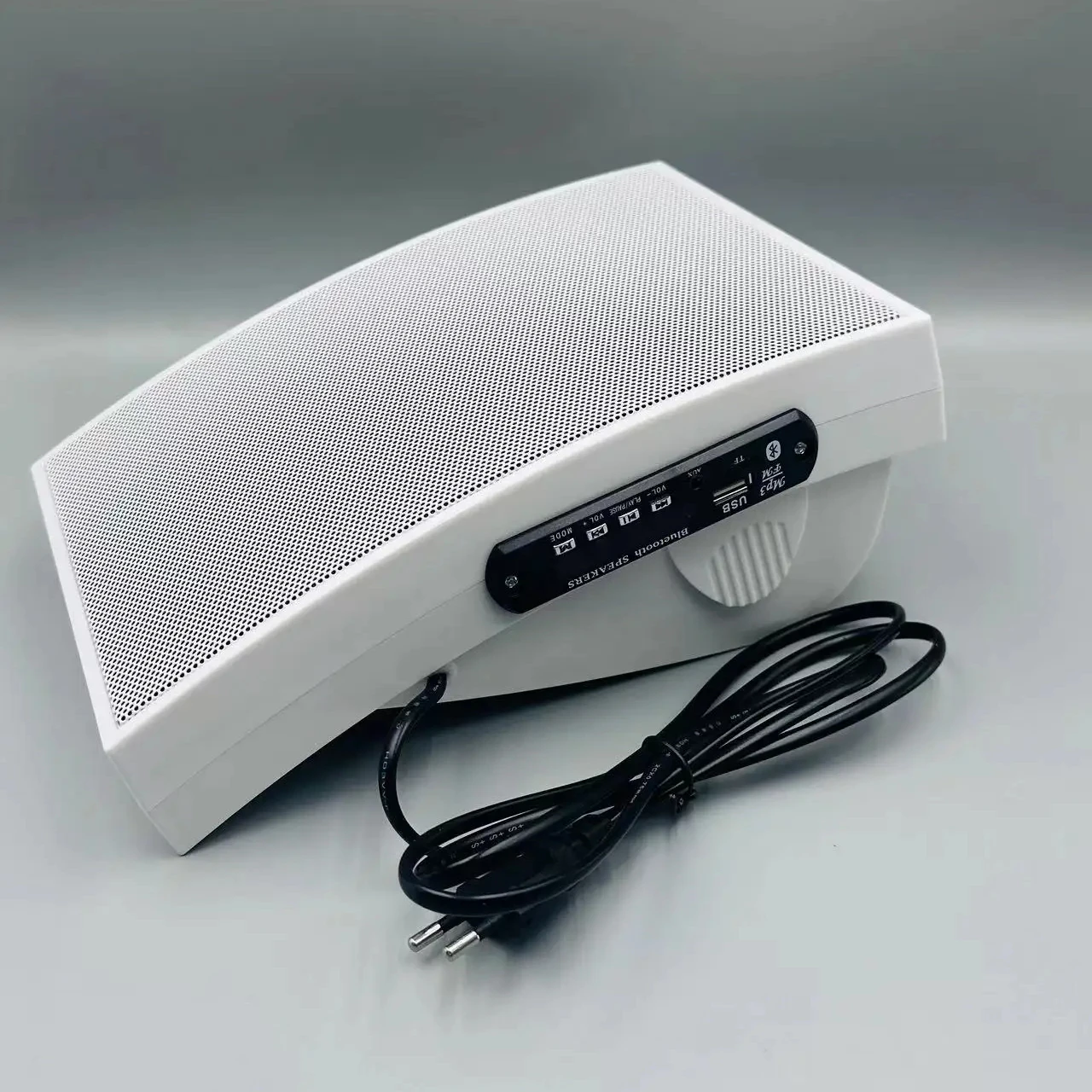 New Outdoor Wall Mounted Speaker Hot Products Outdoor Wall Mounted Speaker 10W For Sale BG-04 BT speaker wall mount