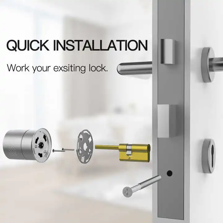 Tuya App Siri Key Manual UNLOCK Auto Smart Digital Lock EU Retrofit Lock Cylinder