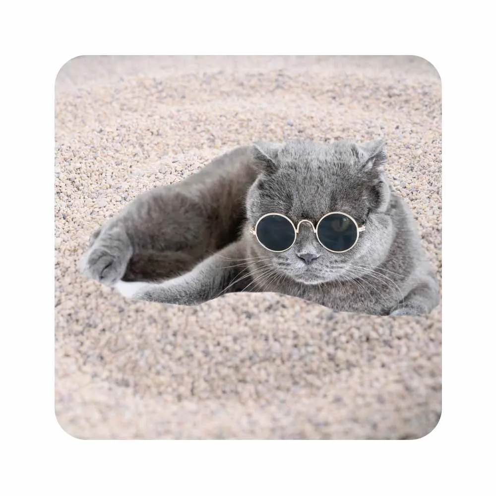 2023 Новый беспыльный эффективный дезодорирующий измельченный натрий бентонит сломанный кошачий наполнитель