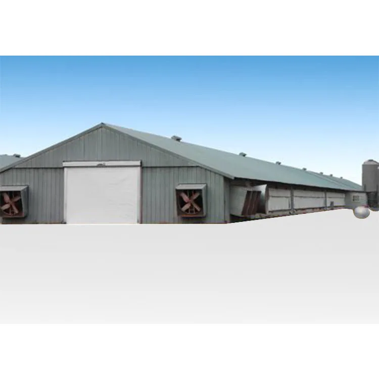 Low cost broiler chicken goat farm shed manufacturer steel structure