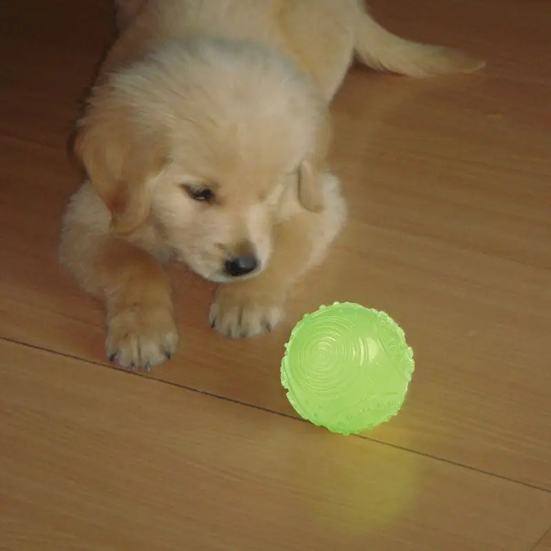
Amazon best selling Light Up Squeaky Dog Ball Chew Toy Glow in the dark Bouncing Agility Outdoor Night Dog toy 
