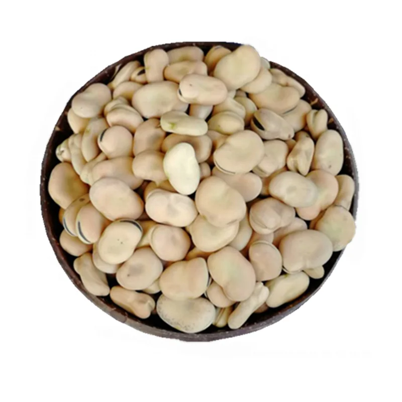 2021 low price new crop  high quality  dry brown broad beans