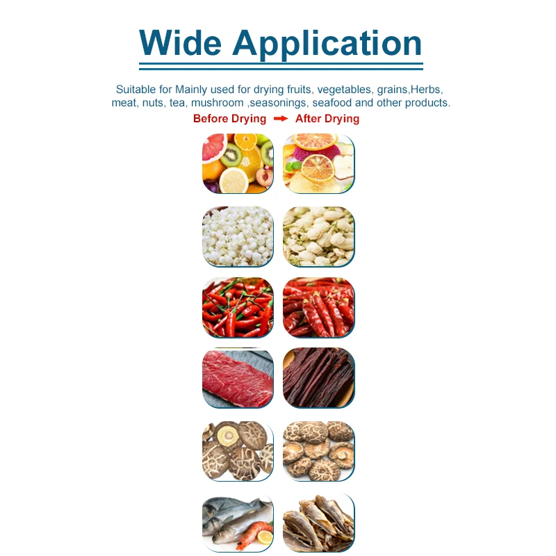 Stainless Steel Commercial Food mushroom  Beef Dryer Dried Meat Dry Fruit Industry Jerky dehydrator Dehydrate Machine for Sale