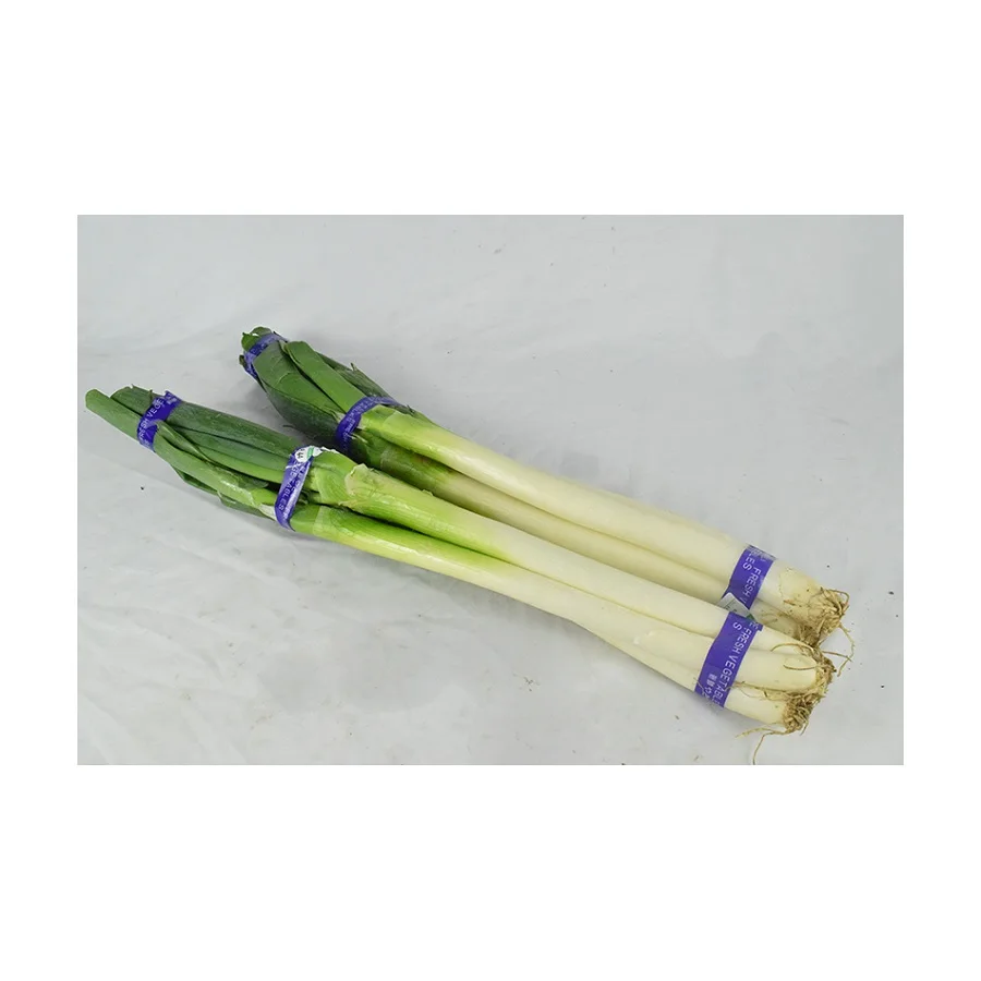 
Naturally Grown Green Onions At A Competitive Price High-Quality Green Onions 