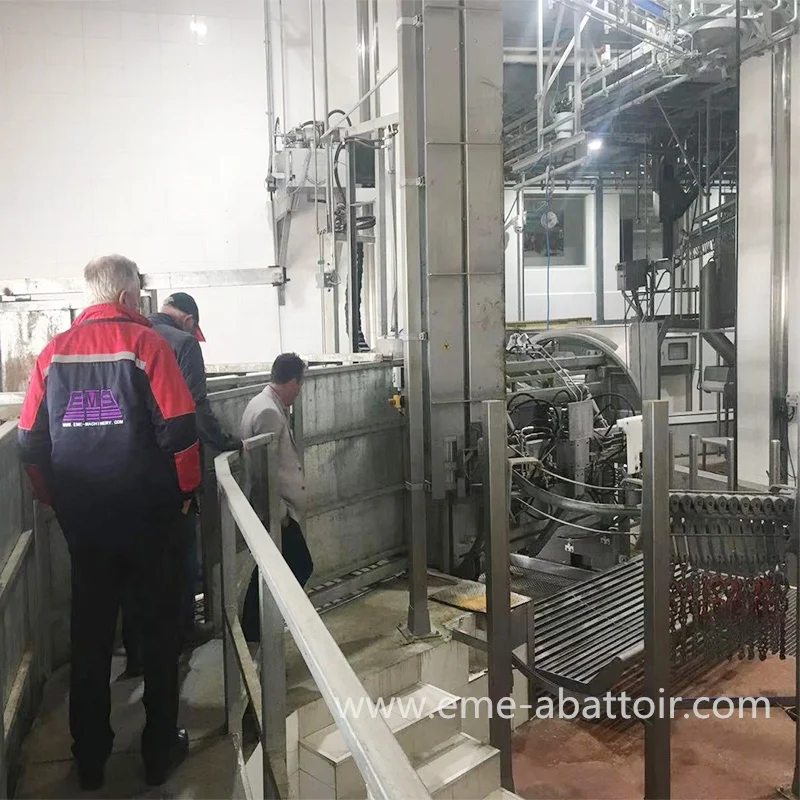 Halal Abattoir Machinery Ritual Cattle Slaughter Box Killing Machine for Bovine Cow Slaughterhouse Equipment