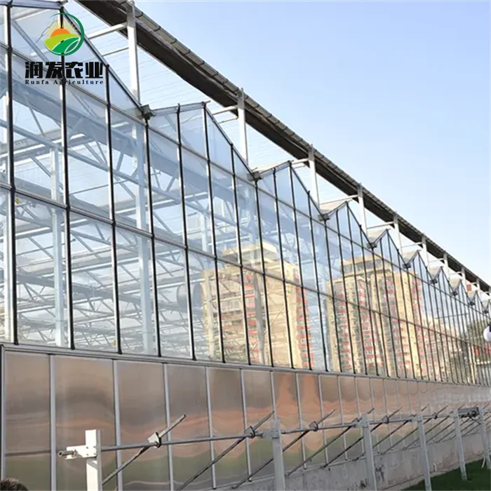 Large Multi-Span Victorian Greenhouses Commercial Venlo Glass Greenhouse With Irrigation&Hydroponics Equipment