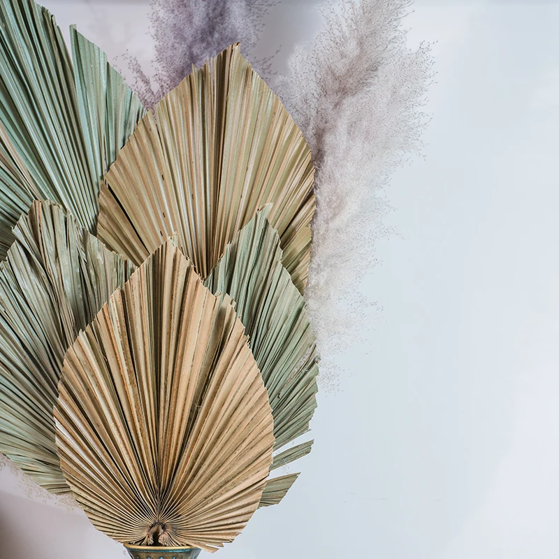 Wild Autumn Ins popular Home Decoration Real Natural Dried Flower Natural Palm Leaves For wedding decoration