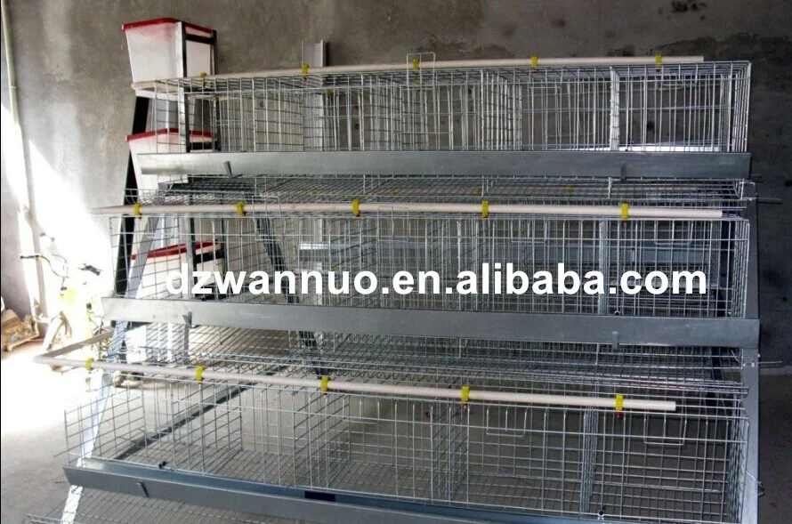 Hot sale layer chicken cage for Kenya/Nigeria/Tanzania/Uganda farm