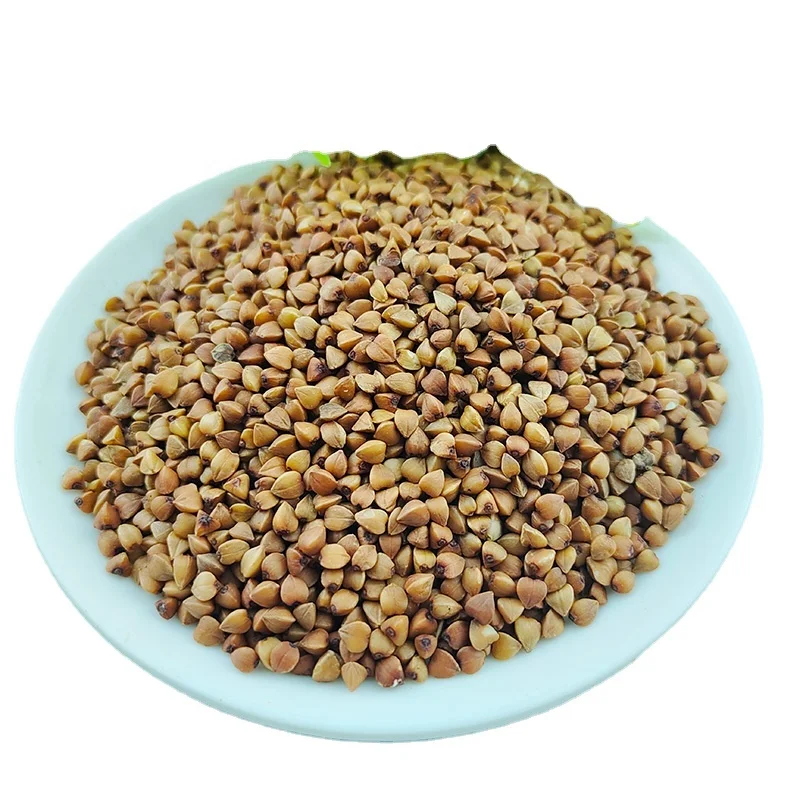 China origin natural bulk roasted buckwheat /Roasted Buckwheat Kernel for sale