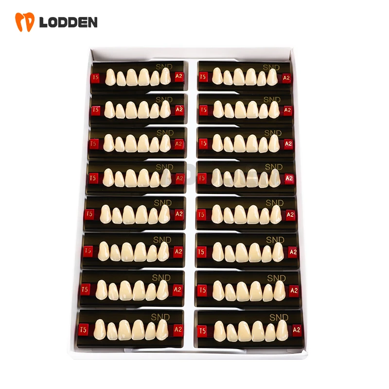 New Base Anterior Denture Teeth Factory price Synthetic resin teeth Acrylic Resin teeth