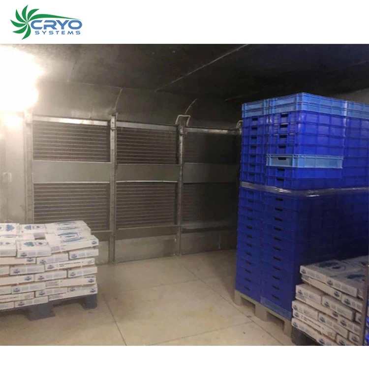 cold storage construction freezing room big freezer room price for frozen food