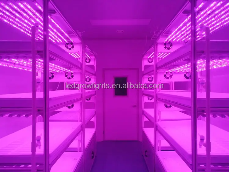 tissue culture rack (1).jpg